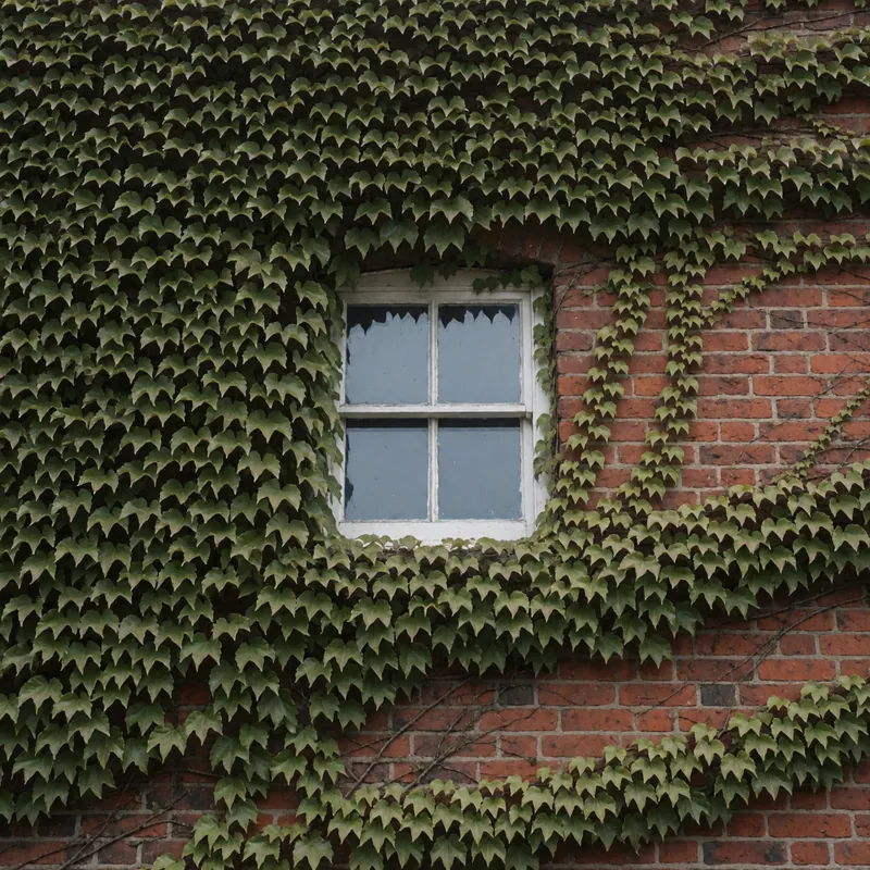 The Courtyard Twin — detail